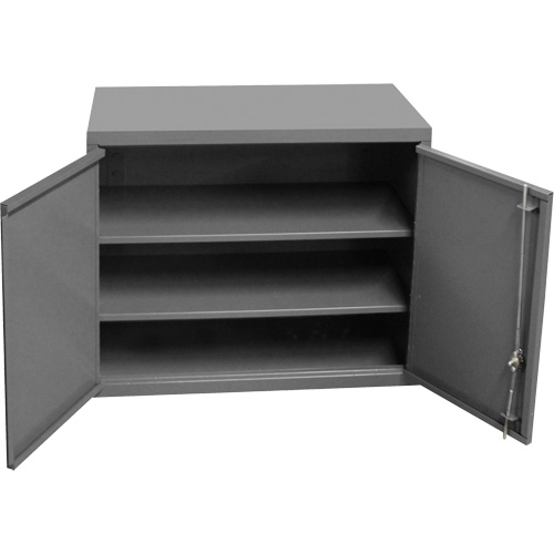 Wall-Mounted Cabinet, 27" H x 13-11/16" W x 35-7/8" D, 2 Shelves, Steel, Grey Ontario Safety Products