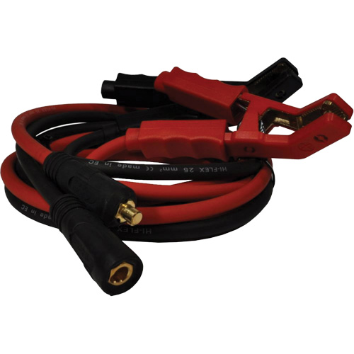 100 A High-Power Smart Charger with Inverter Technology Ontario Safety Products