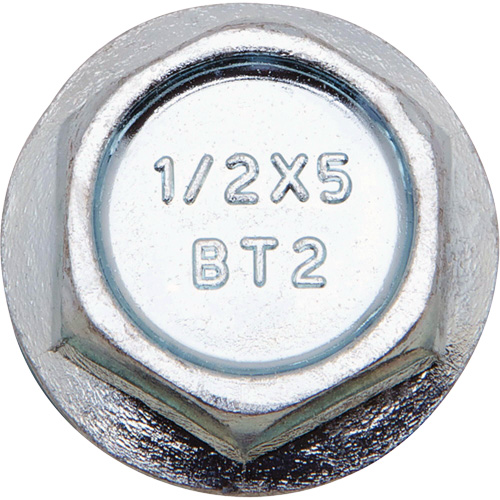 Wedge Bolts, Carbon Steel, 1/2" x 6" Ontario Safety Products
