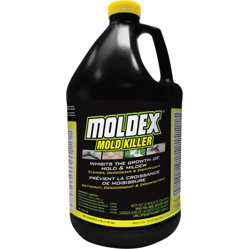 D&eacute;sinfectant contre les moisissures Moldex, 3,78 L, Cruche Ontario Safety Products