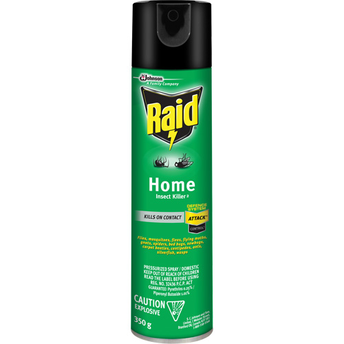 Raid&reg; Home Insect Killer, 350 g, Solvent Base Ontario Safety Products