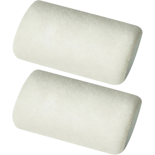 Professional Roller Sleeves, 9.525 mm (3/8") Nap, 101.6 mm (4") L Ontario Safety Products