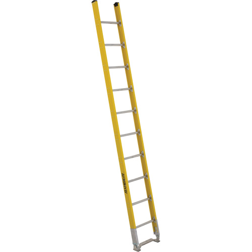 Single Section Straight Ladder - 6100 Series, 10', Fibreglass, 375 lbs., CSA Grade 1AA Ontario Safety Products