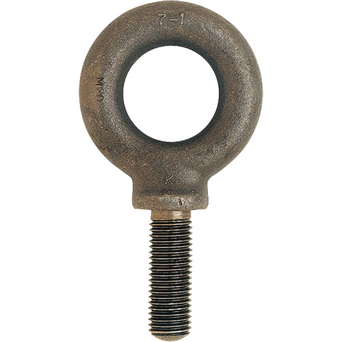 Boulon &agrave; œil m&eacute;trique, 51 mm dia, 70 mm lo, 11 400 lb (5,7 tonnes) capacit&eacute; Ontario Safety Products