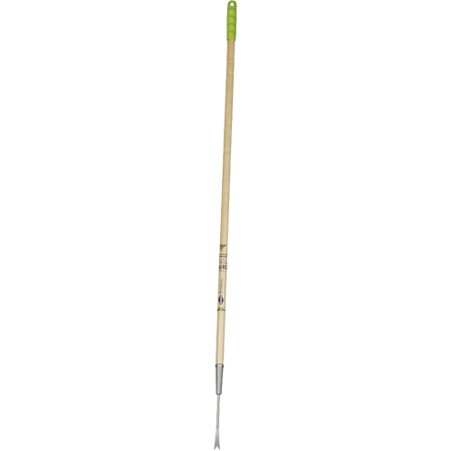 Dandelion Weeder Ontario Safety Products