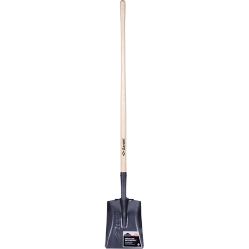 Pro Square Point Shovel, Wood, Tempered Steel Blade, Straight Handle, 48" Long Ontario Safety Products