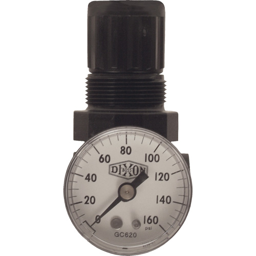 Series 1 Miniature Regulator, 1/8" NPT, 100 psi Max. PSI, Standard Ontario Safety Products