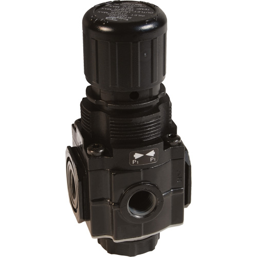 Series 1 Manifold Regulator, 1/4" NPT, 150 PSI Max. PSI, Standard Ontario Safety Products