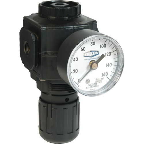 Series 1 Compact Regulator, 1/2" NPT, 150 PSI Max. PSI, Standard Ontario Safety Products