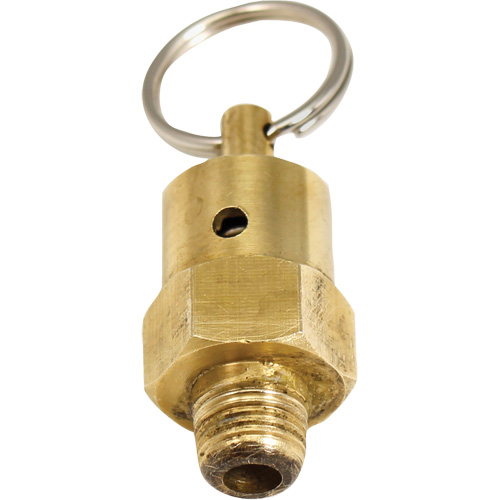 Viton&reg; Pressure Relief Valve Ontario Safety Products