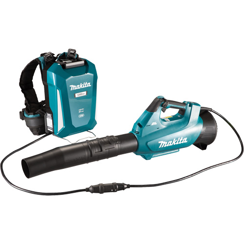 Souffleur turbo LXT (outil seulement), 18 V, Vitesse d'air 157 mi/h, &agrave; pile Ontario Safety Products