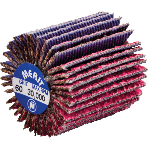 Mini-meule &agrave; lamelles filet&eacute;es, C&eacute;ramique d'alumine, Grain 60, 1" x 1" x 1/4"-20 Ontario Safety Products