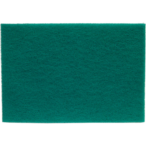 Tampons manuels Bear-Tex, Oxyde d'aluminium, 6" x 9", Grain Tr&egrave;s fin Ontario Safety Products