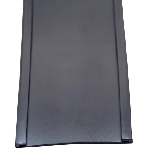 Card Holder, Magnetic, 600" L x 2" W Ontario Safety Products