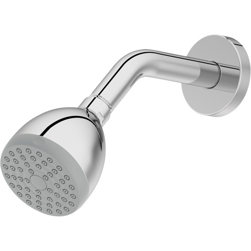 One-Function Showerhead Ontario Safety Products