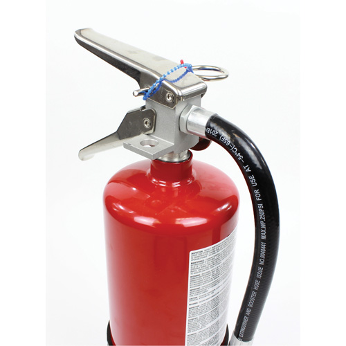 Extincteur d'incendie, ABC, Capacit&eacute; 10 lb Ontario Safety Products