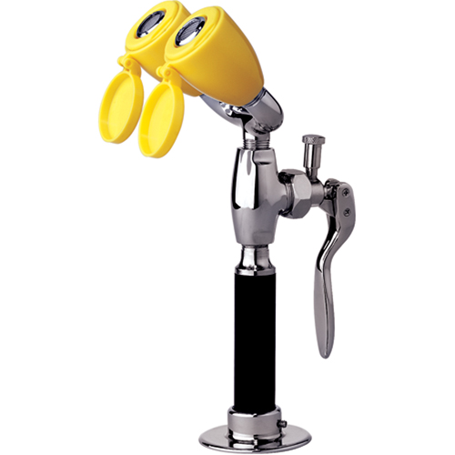 Drench Hose & Eyewash, Counter-Mount Installation Ontario Safety Products