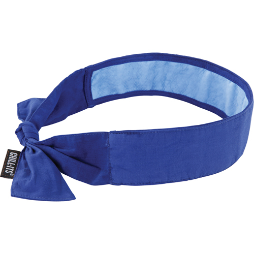 Chill-Its&reg; 6700CT Cooling Bandanas, Blue Ontario Safety Products