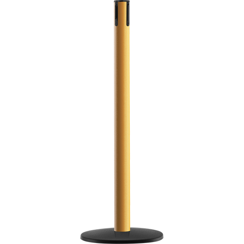 Advance TensaBarrier&reg; - Receiver Post, 36" High, Yellow Ontario Safety Products