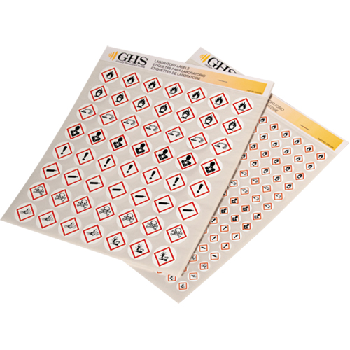 Assortiment d'&eacute;tiquettes avec pictogrammes sgh, Vinyle, Feuille, 1/2" lo x 1/2" la Ontario Safety Products
