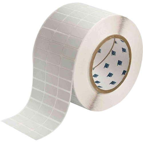 Glossy Rating Plate Labels, Metalized Polyester, 1" L x 0.5" H, Silver Ontario Safety Products