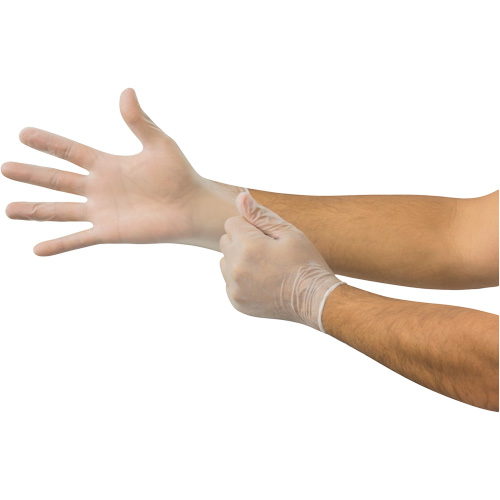 MicroFlex&reg; Disposable Gloves, Small, Vinyl, 2.8-mil, Powder-Free, Clear Ontario Safety Products