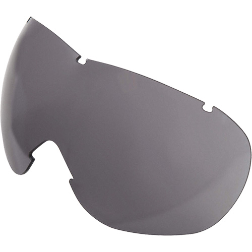 Lentille de rechange pour les lunettes de s&eacute;curit&eacute; &agrave; coques Uvex Sub-Zero, Antibu&eacute;e/anti-&eacute;gratignures, Gris, Uvex Sub-Zero Ontario Safety Products