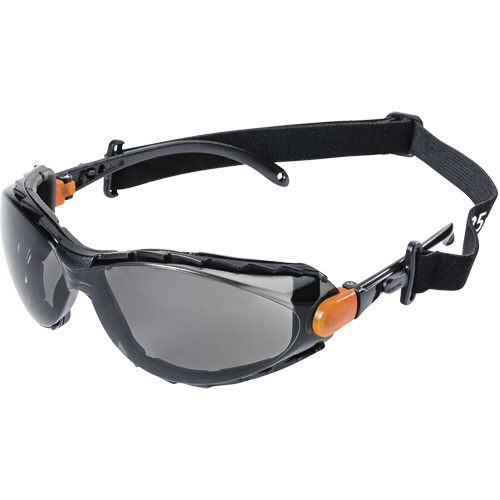 XPS502 Sealed Safety Glasses, Indoor/Outdoor Lens, Anti-Scratch Ontario Safety Products