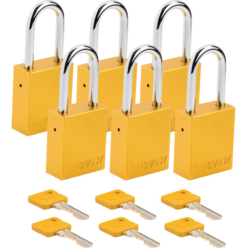 Cadenas de s&eacute;curit&eacute;, Cadenas de s&eacute;curit&eacute;, Cl&eacute;s diff&eacute;rentes, Aluminium, Largeur de 1-1/2" Ontario Safety Products