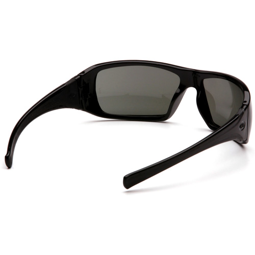 Lunettes de s&eacute;curit&eacute; &agrave; monture compl&egrave;te Goliath, Lentille Gris, Polaris&eacute;, ANSI Z87+/R&eacute;pond ou surpasse la norme CSA Z94.3 Ontario Safety Products