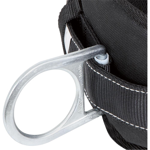 WB-6020-L Dispositif de retenue de s&eacute;curit&eacute; avec ceinture &agrave; deux anneaux en D et support lombaire rembourr&eacute; - Grand Ontario Safety Products