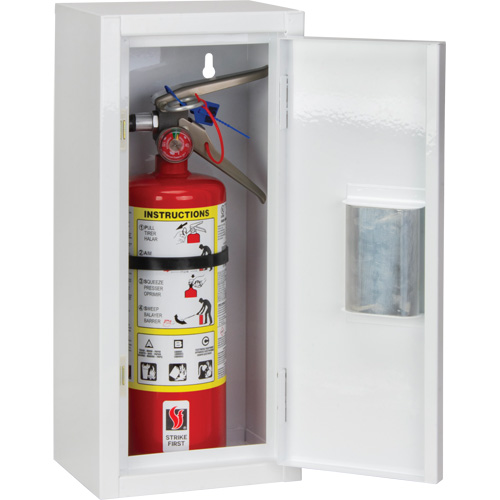 Armoire int&eacute;rieur pour extincteur, 8" la x 18" h x 6" p Ontario Safety Products