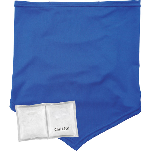 Chill-Its 6482 Cooling Neck Gaiter Bandana with Rechargeable Phase Change Packs,  Large/X-Large, Blue Ontario Safety Products