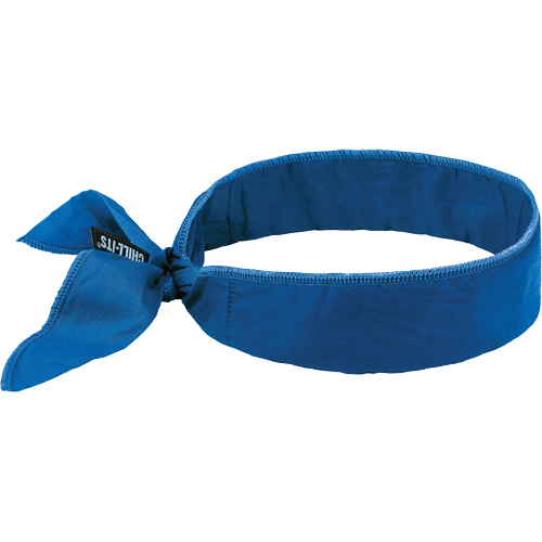 Chill-Its 6702 Cooling Headband with Embedded Polymers & Tie Closure, Blue Ontario Safety Products