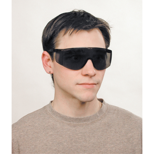 Tacoma&reg; Safety Glasses, Grey/Smoke Lens, Anti-Scratch, ANSI Z87+ Ontario Safety Products