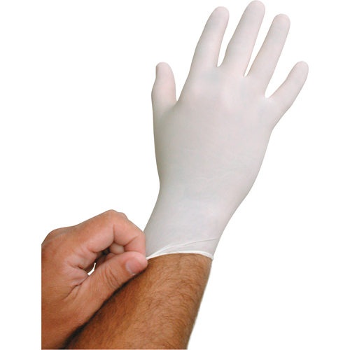 QRP BioTek&reg; Disposable Gloves, Large, Latex, 6-mil, Powder-Free, White Ontario Safety Products