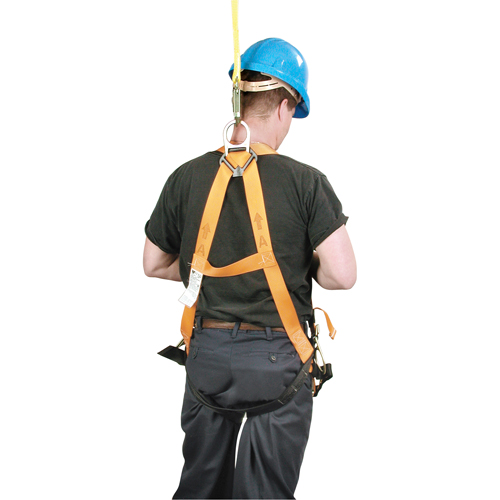 Harnais d'entrepreneur Titan de Miller, Certifi&eacute;e CSA, Classe AP, Cap. 400 lb Ontario Safety Products
