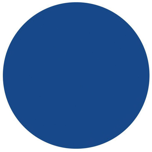 Round Write-On Labels, Circle, 1.5" L x 1.5" W, Blue Ontario Safety Products
