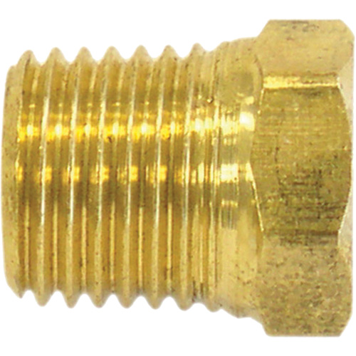 Bouchon de tuyau (t&ecirc;te hexagonale), 1/2" dia., Laiton Ontario Safety Products