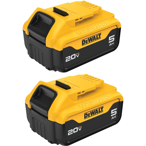 Bloc-piles Max XR Premium, Lithium-ion, 20 V, 5 A Ontario Safety Products