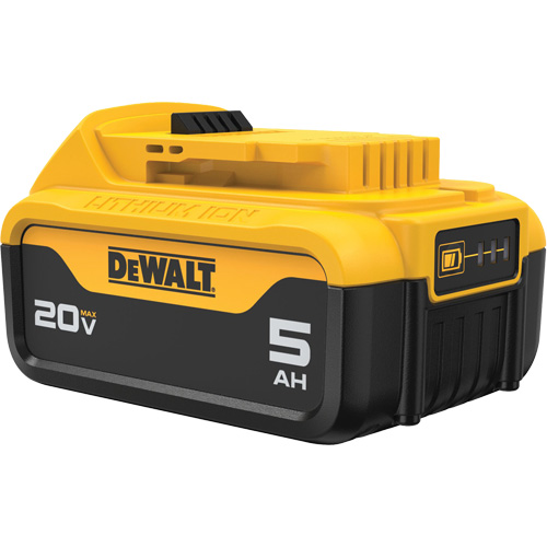 Bloc-piles Max XR Premium, Lithium-ion, 20 V, 5 A Ontario Safety Products