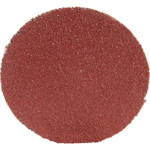 Disque 361F Roloc, 1-1/2" dia., Grain P100, Oxyde d'aluminium Ontario Safety Products