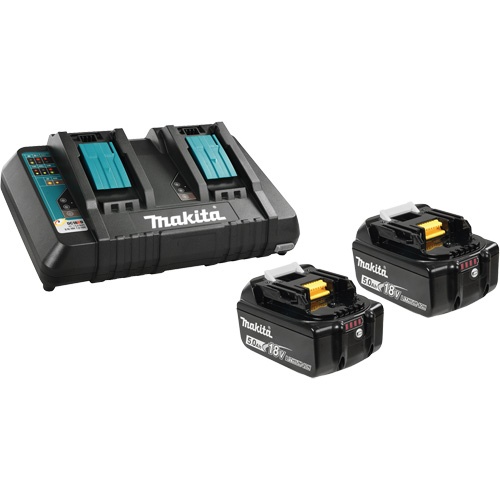 Ensemble de batterie au lithium-ion & chargeur &agrave; double port, 18 V, Lithium-ion Ontario Safety Products
