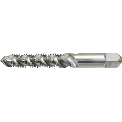 DRILLCO Spiral Flute Hand Tap, High Speed Steel, 1/4"-20 Thread Ontario Safety Products