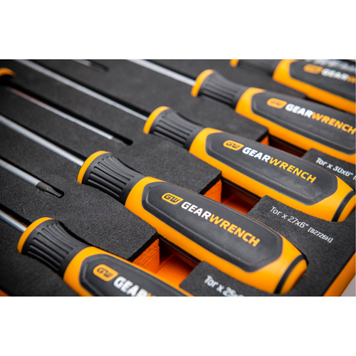 Jeu de tournevis bimat&eacute;riau Torx dans un plateau de rangement en mousse, 10 mcx Ontario Safety Products