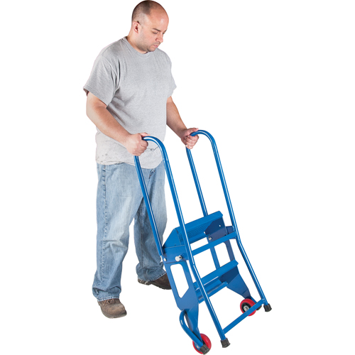 Portable Folding Ladder, 2 Steps, Perforated, 20" High Ontario Safety Products