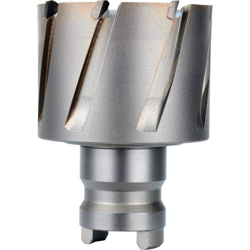 Fraise avec tenon &agrave; changement rapide Drive Hawg, Diam&egrave;tre de 2", Acier, Profondeur de la coupe de 1" Ontario Safety Products