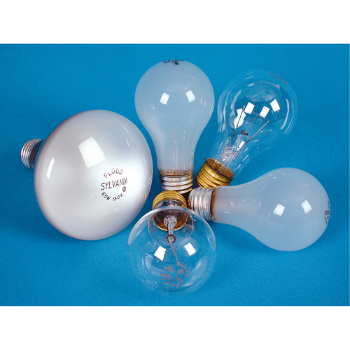 LAMPE INCANDESCENTE,25W,130V,GIVREE,2/PQT Ontario Safety Products