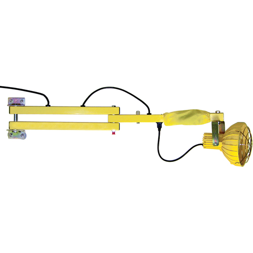 Lampes avec bras flexible pour quais, Ampoule Incandescente, Bras 40" Ontario Safety Products