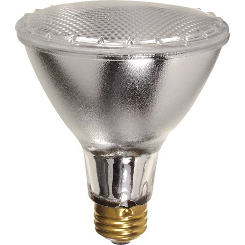 Gammes de lampes &eacute;conomiques Ontario Safety Products